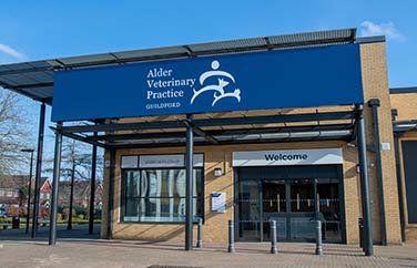 Alder Veterinary Practice Gallery Image 1